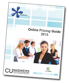 2013 Pricing Guides