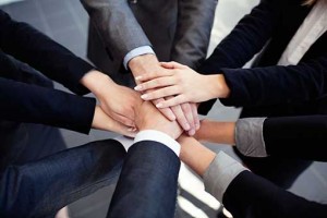 valued partner