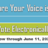 Time to Vote in the 2021 Elections!