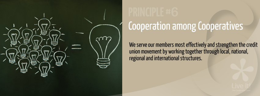 7_principles_6