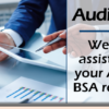 Let AuditLink help with your ACH and BSA reviews!