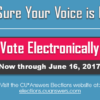 Don’t Forget: Vote in the 2017 Elections!