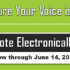 Don’t Forget to Vote in the 2019 CU*Answers Elections!
