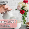 Take a Look at the CU*Answers University Courses for February!