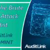 Presenting the Brute Force BIN Attack Checklist from AuditLink and SettleMINT
