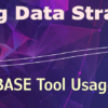 Proving Data Strategies: CU*BASE Tool Usage Insights