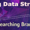 Proving Data Strategies: Researching Branch Traffic
