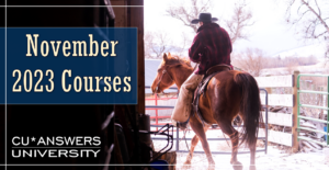 Take a Look at the CU*Answers University Courses for November!