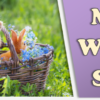 Join Us for the First Webinars of March!