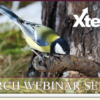 Check Out This Week’s Xtend Webinars!