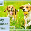 Take a Look at Xtend’s May Webinars!