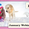 Take a Look at Next Week’s Webinars!