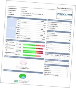 example executive summary