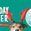 Spreading the Holiday Cheer with 50% Off Custom Web and Mobile Banners!