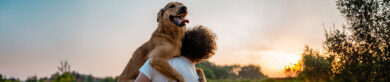 Meet Your New Estate Planning Program
